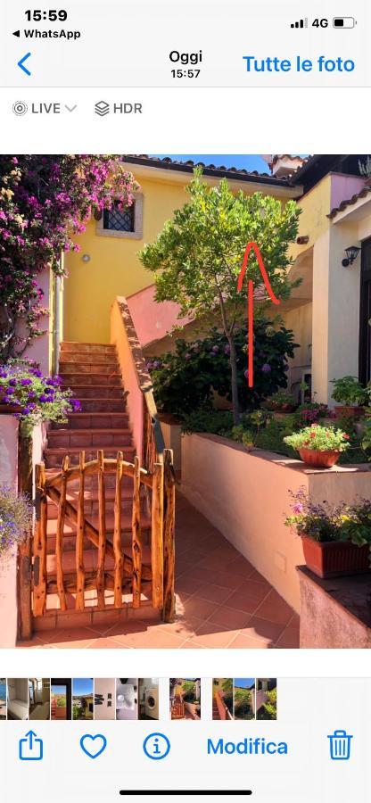 坎尼吉翁Casa Di Alba公寓 外观 照片